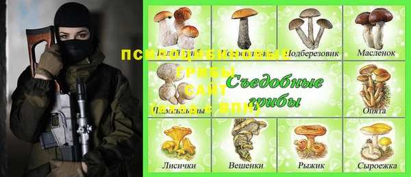 бошки Покачи