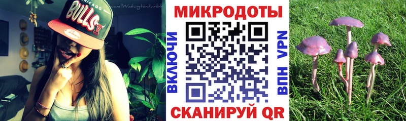 Псилоцибиновые грибы GOLDEN TEACHER Кашин