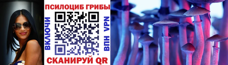 Галлюциногенные грибы Psilocybe  наркошоп  Кашин 